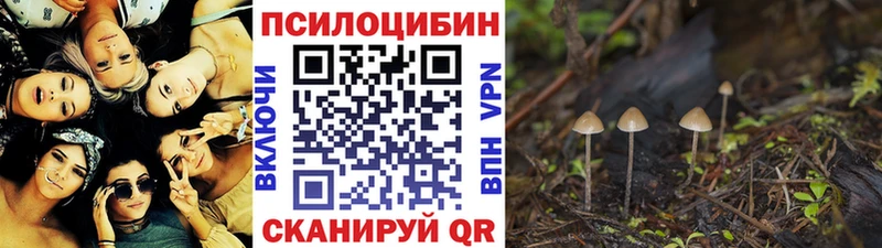 Псилоцибиновые грибы прущие грибы  Покровск 